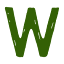 w