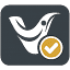 v