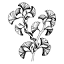 l