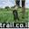 trail.co.il