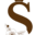 s