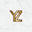 y