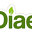 diaet.org