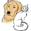 p