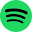 spotidown.com