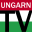 ungarn-tv.com
